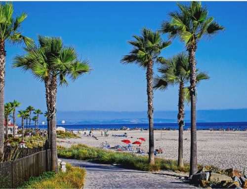 Things to Do in North County San Diego