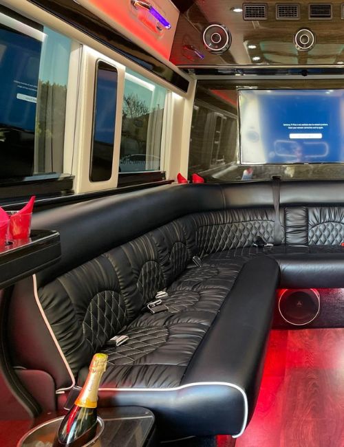 Party Bus Rental San Diego1