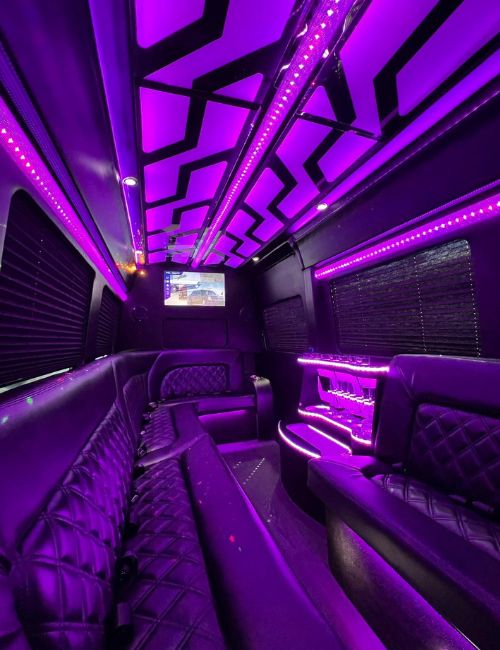 Party Bus Rental San Diego2