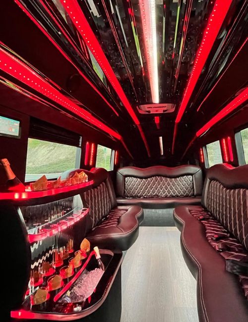 Party Bus Rental San Diego3