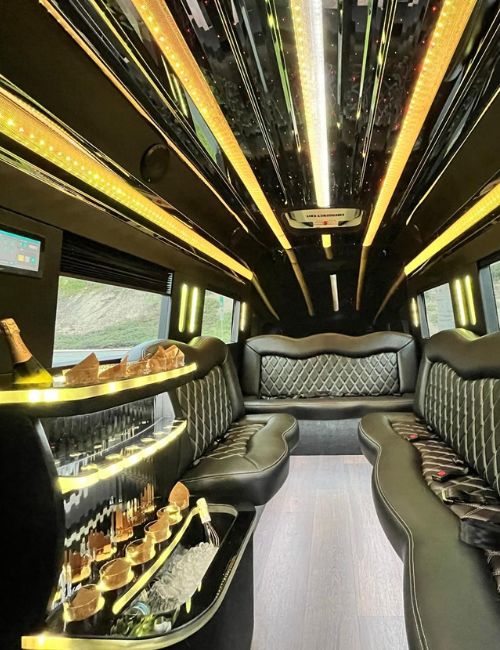 Party Bus Rental San Diego6